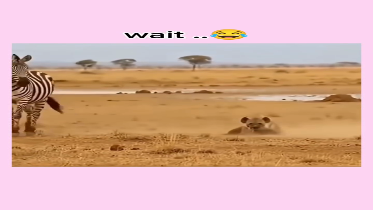 😂🤣 #viral #viralvideos #view #trendingnow #trendingaudio #trendingreels