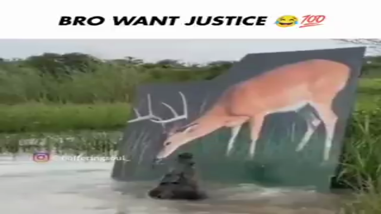 Bro need a lawyer For Justice Funny Video 😂😭