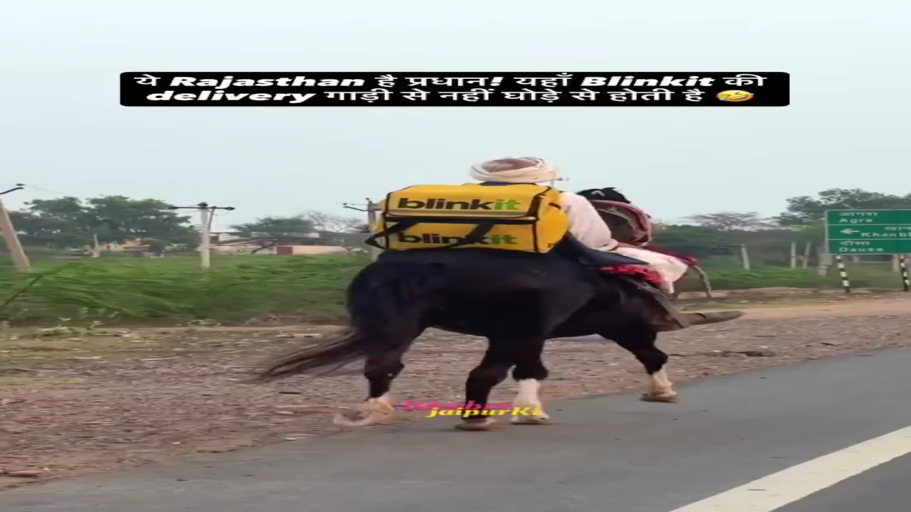 Rajasthan is such a legendary state that even Blinkit riders use horses for delivery.